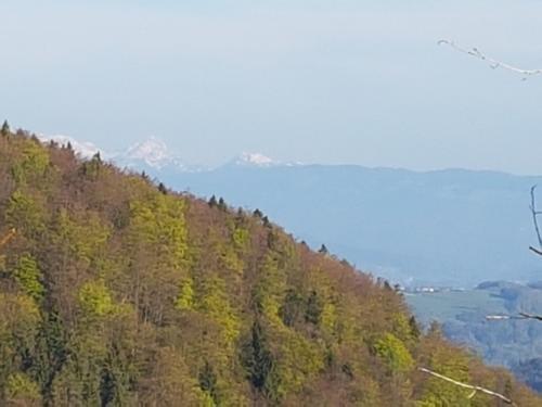 West (Kamniške Alpe)