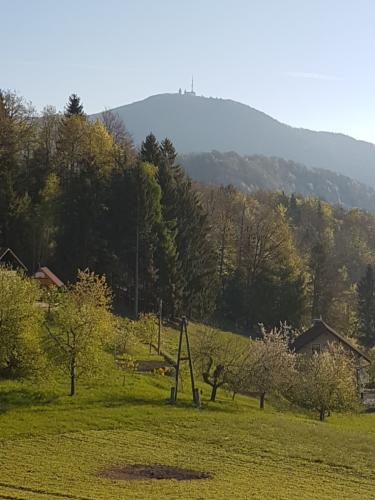 North / East (Kum 1.220m)