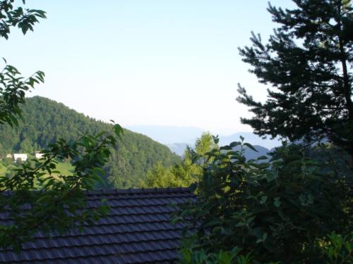 West sight from garden